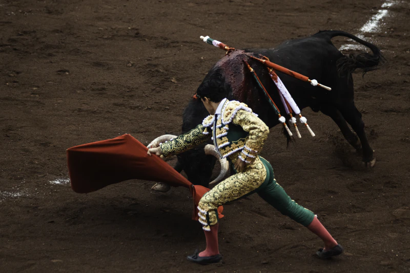 Toros